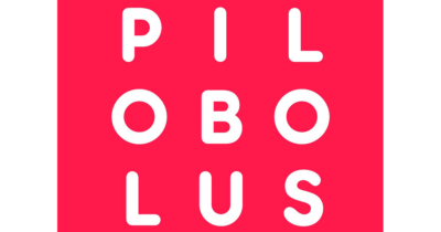 Pilobolus Dance Theatre jobs