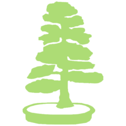 Bonsai Fine Arts jobs